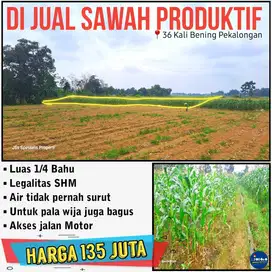 Bismillah Sawah produktif murah luas 1/4 bahu di 36 Kali Bening