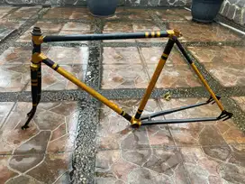 Frame 54 Road Bike