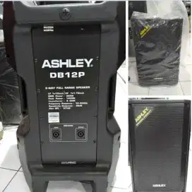 ASHLEY speaker pasif 12inc DB12P 300watt DB 12P