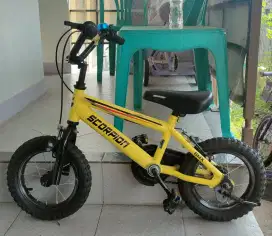 Sepeda anak bekas