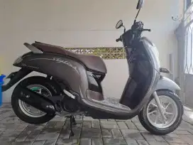 HONDA SCOOPY 2019