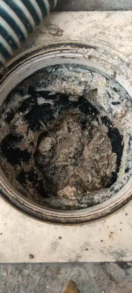 Sedot WC surabaya