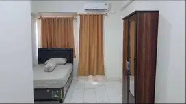 SEWA MURAH PGV PODOMORO GOLF VIEW APARTEMEN APARTMENT STUDIO DISEWAKAN