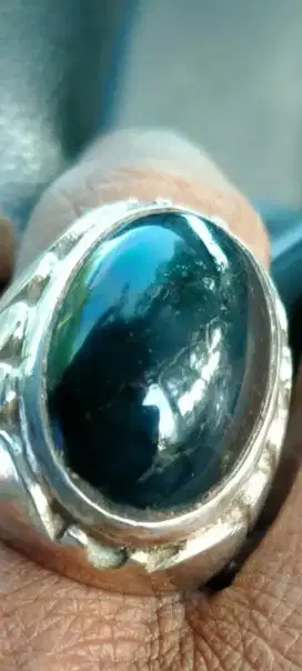 Bacan Cokelat  Lawasan