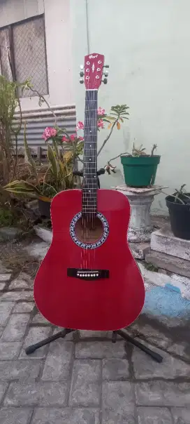 Gitar jumbo cort red tanam besi murah akustik