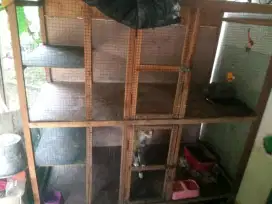 Kandang kucing kayu