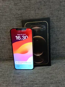 Iphone 12 Pro Max 256Gb Inter Dual Sim