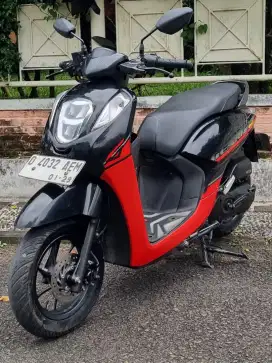 Honda genio 2023 donat