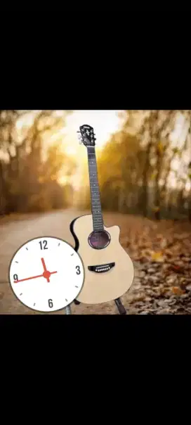 Gitar akustik apx500