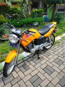 Tiger kuning tahun 1997