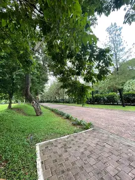 Dijual Kavling Menteng Bintaro Jaya Dibawah Harga Pasar (15375)