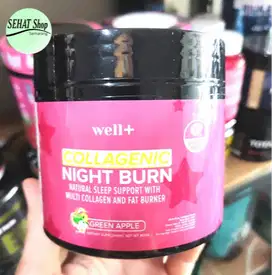 Well+ Collagenic Night Burn 40 Serving 9 in 1 Collagen Fat Burner