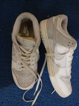 Nike Dunk Air low