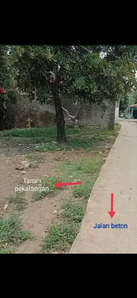 Dijual sebidang tanah pekarangan