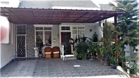 dijual rumah di cluster terrace hill, sentul city (SSR201)
