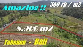 8,900 m2 Pinggir Jalan Hotmix cocok untuk Agrowisata