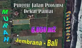 Tanah Dijual Bekas Sawah Posisi Hook 60,5 are Pinggir Jalan