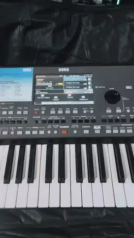 Korg Pa 600 Full Sampling