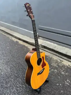 Akustik Taylor 214 CE-G (Top Gloss Finish)