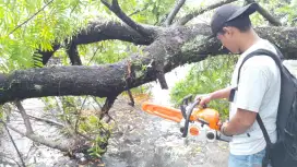 BUAT TAMAN dan MERAPIKAN, MEMBERSIHKAN RUMAH, POTONG RUMPUT DAN POHON