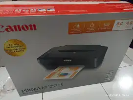 Printer canon Pixma MG2570S