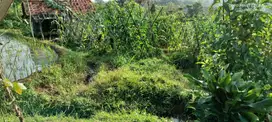 Dijual Sawah Harga Murah Darangdan 2992 m2