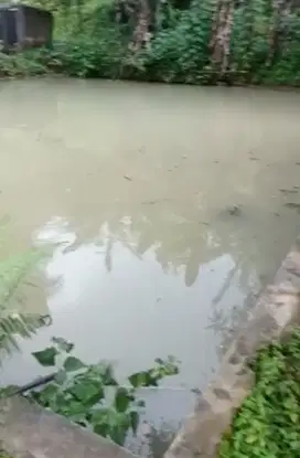 Tanah & 2 kolam ikan Lt 5.310 m² di Citalang