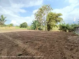 TANAH KAVLING PACET GONDANG CANTIK