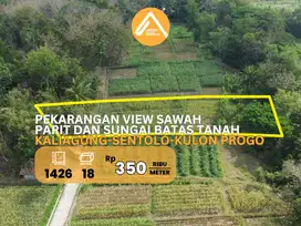 Jual Tanah Pekarangan Sentolo Kulon Progo View Sawah Parit dan Sungai