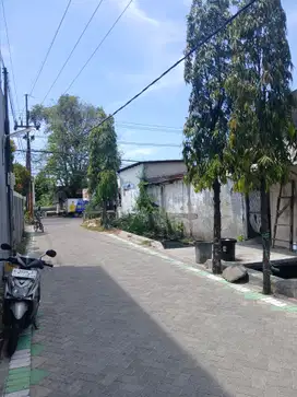 Disewakan/Dijual Tanah dekat jalan raya Tropodo