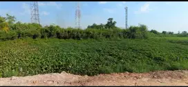 Dijual Tanah Jalan Pinang Banjar Indah