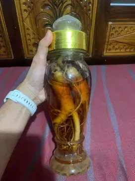 Red Ginseng Korea