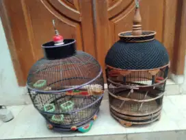 Kandang perkutut dan tekukur