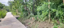Jual tanah pekarangan lokasi timur kalioso lt 500m hrg 225jt nego