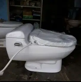 Closet Toto c436 model kodok