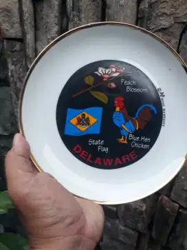 Antik vintage piring keramik dim 20 cm souvenir kota Delaware USA