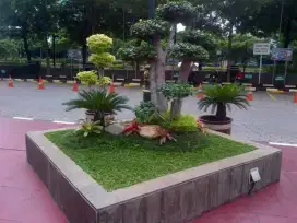 Taman minimalis tukang taman murah