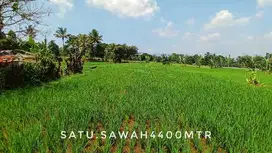 Dijual tanah sawah luas subur investasi masa depan