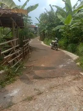 DIJUAL TANAH KEBUN MURAH MERIAH