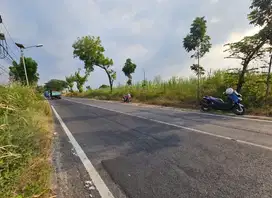 Termurah Lahan industri lamongan