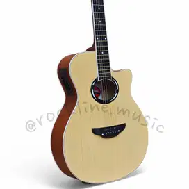 Gitar Akustik elektrik yamaha apx500ii