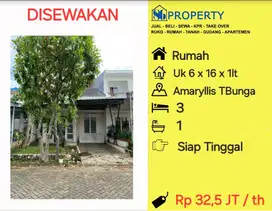 DISEWAKAN Rumah Amaryllis Tanjung Bunga siap huni