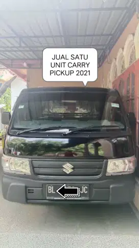 Carry pickup 2021