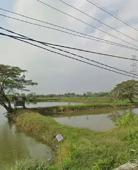 Dijual Tanah Murah di jalan Pantura Gresik Turun Harga