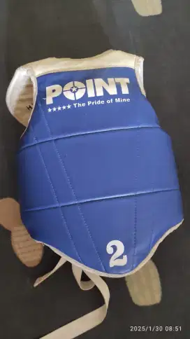 Body protector taekwondo