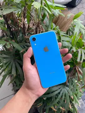 iPhone Xr 128Gb Smartfrn Only Fullset Tinggal Pakai