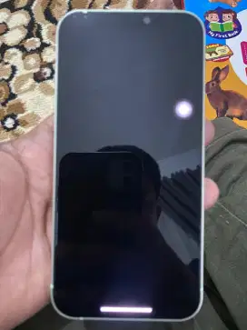 Iphone 12 Green 128 Inter