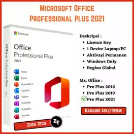 ms office pro original