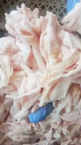 CEKER TANPA TULANG MENTAH