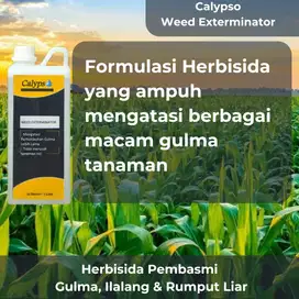 Calypso Weed Exterminator Pembasmi Gulma